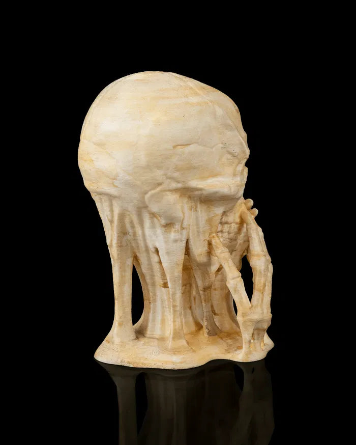 Skulls_of_Wisdom6_dcf186be8b