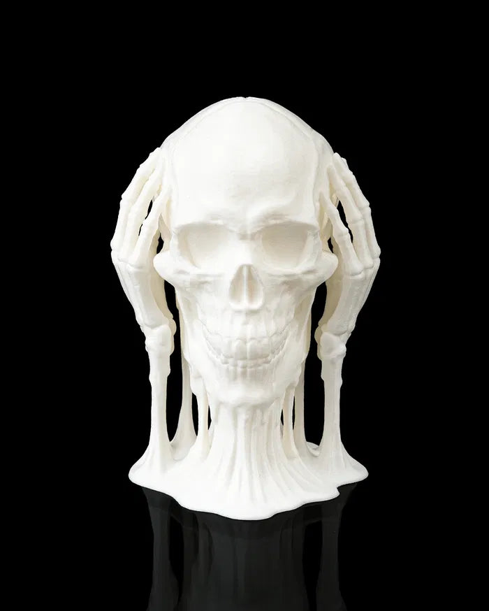 Skulls_of_Wisdom8_5f45f5dc0e