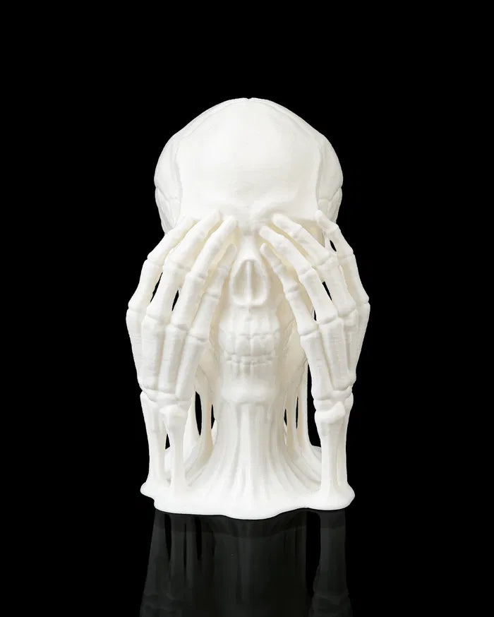 Skulls_of_Wisdom9_9f0fcdd5ff