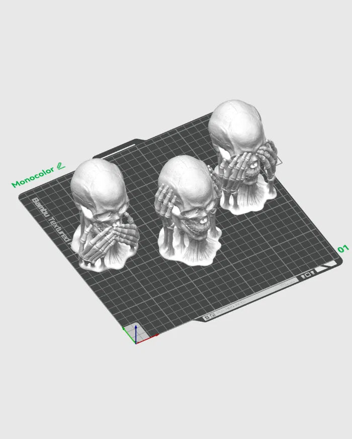 Skulls_of_Wisdom_423c5e135a