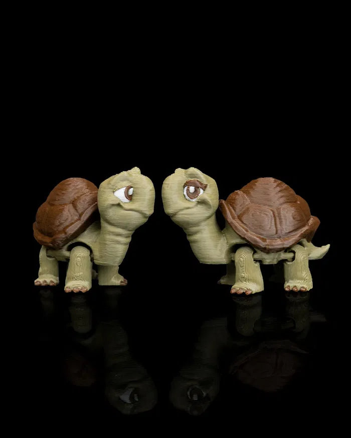 Pair_of_Tortoises2_417d57d6db