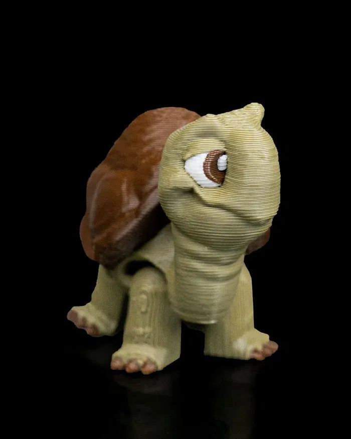 Pair_of_Tortoises5_8dd8f34033