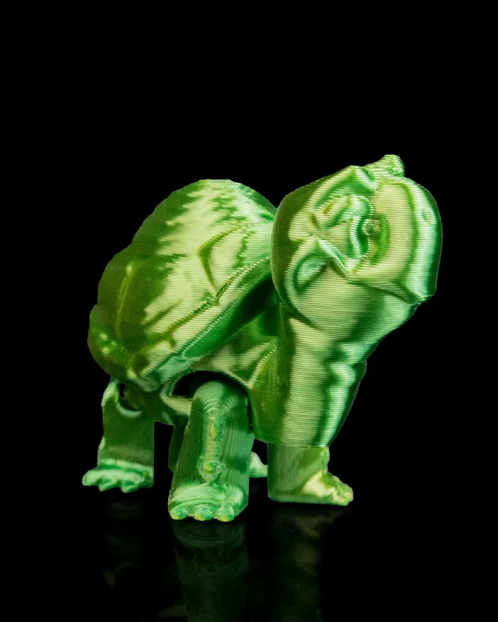 Pair_of_Tortoises7_b3e46b6eb4