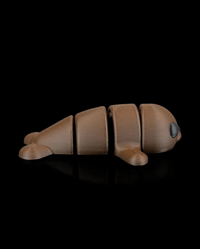 Seal_in_Ocean_Rest2_6c83c70b84