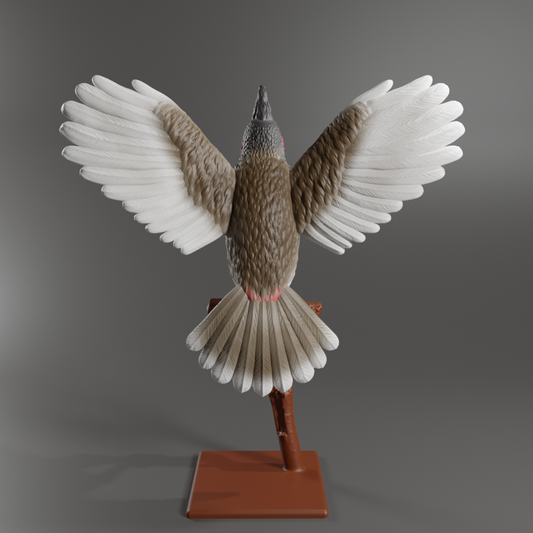 Red-Whiskered Bulbul