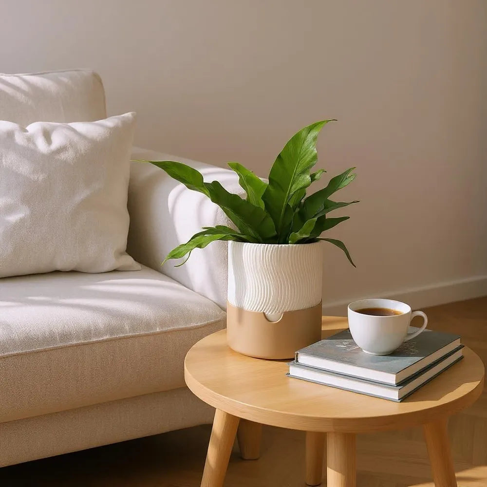 2025-08-03_289f6f4a73b54