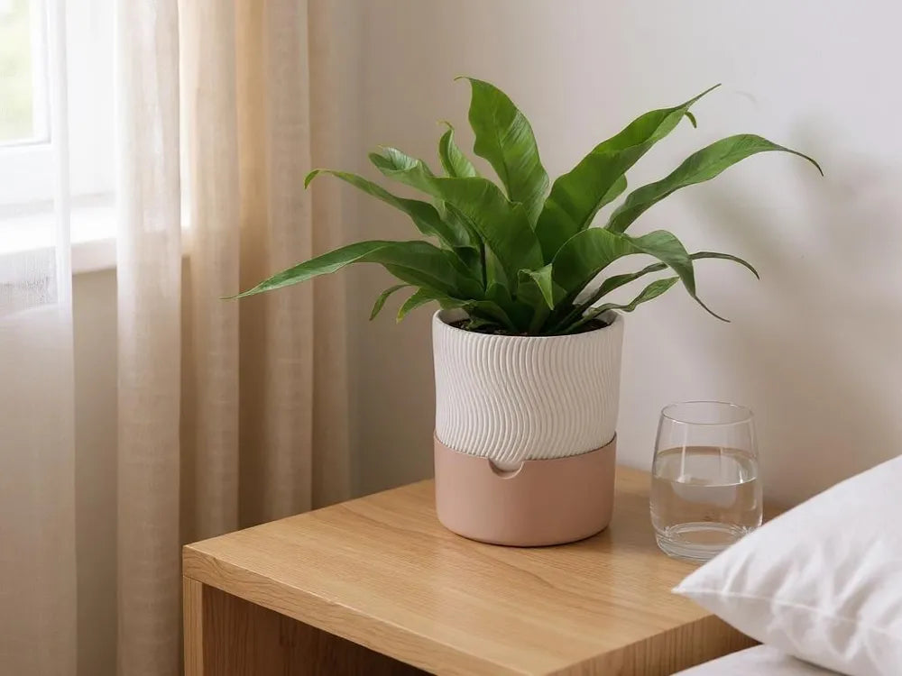 2025-08-03_eea4d00c8ad4e