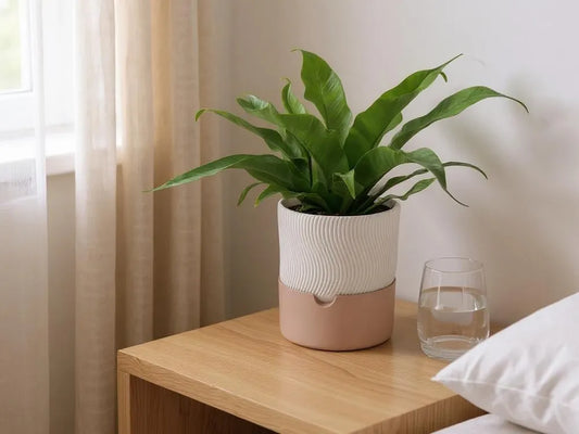 2025-08-03_eea4d00c8ad4e