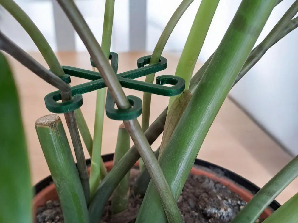 2025-03-02_be1438170bad68