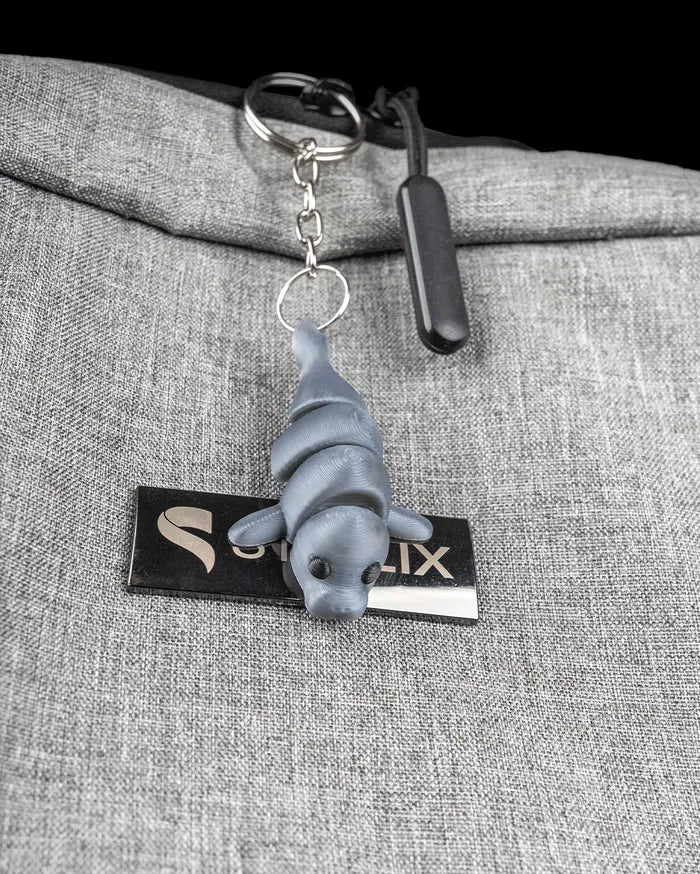 Manatee_in_Ocean_Rest_6_4fbaf2310d