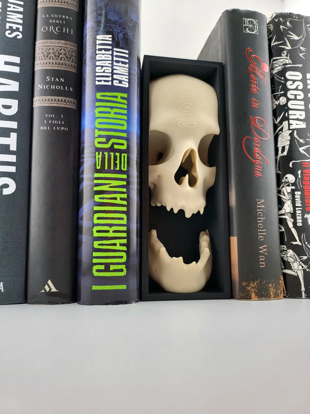 2025-04-02_31bf5cbb9d9c8