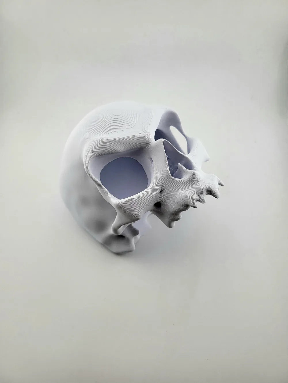 2025-01-12_501a549e2b551