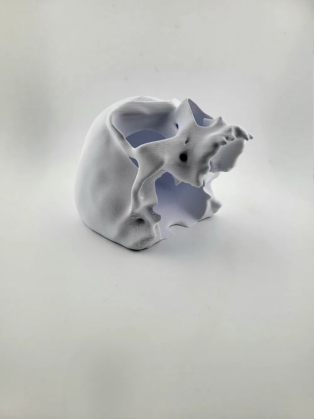 2025-01-12_5c5fccc038e75