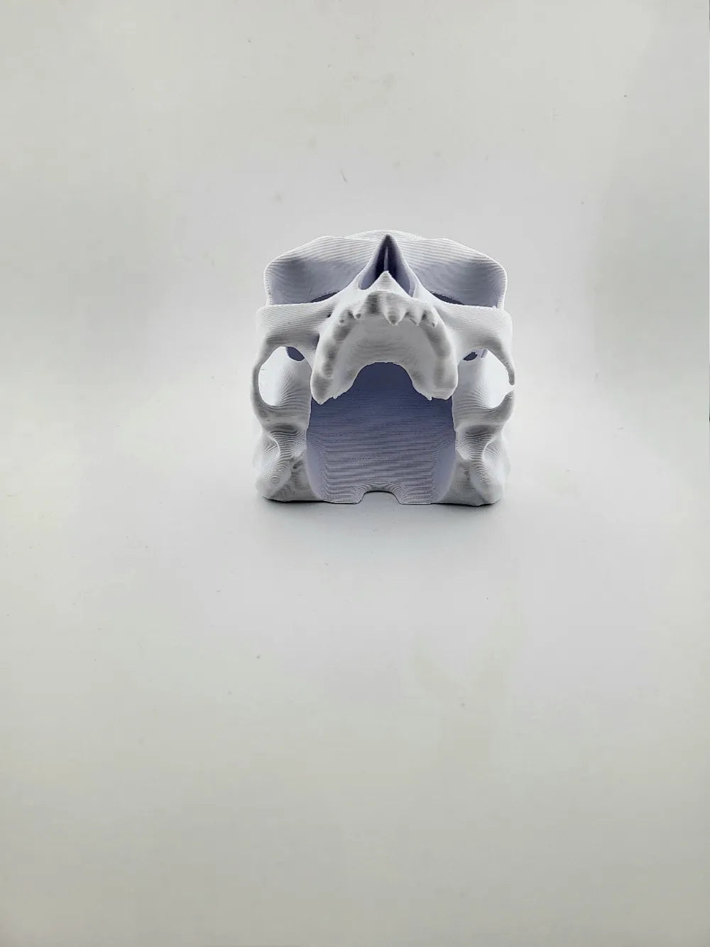 2025-01-12_7f584558522b48