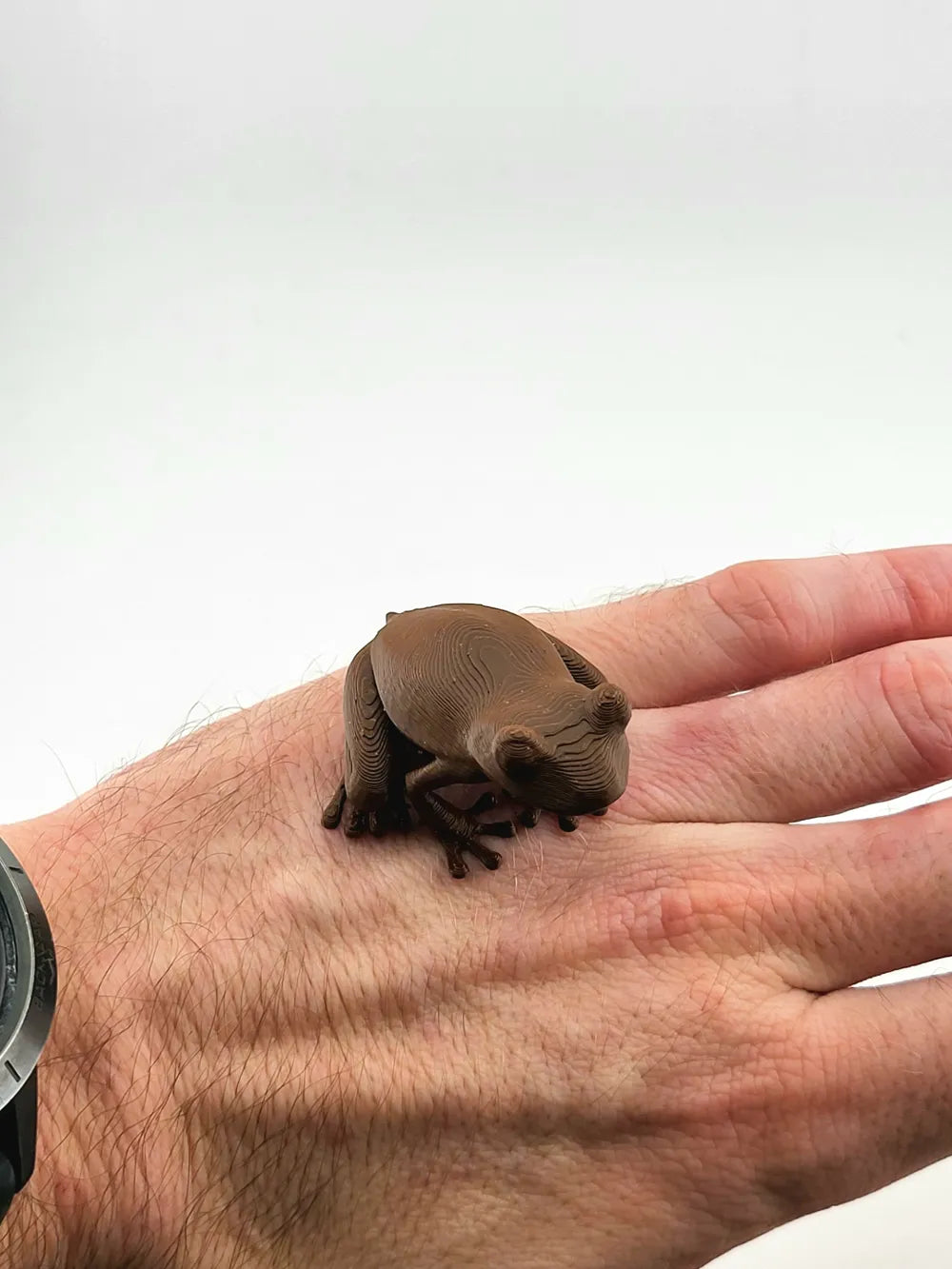 2024-12-21_19f2ab52ae8a2