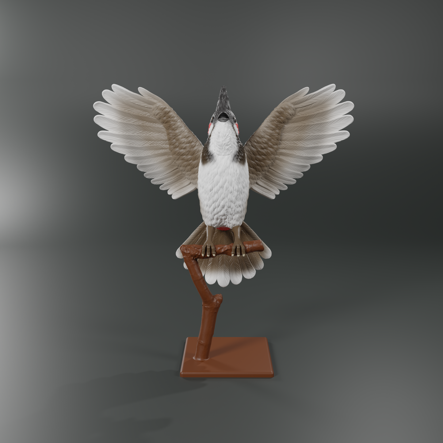 Red-Whiskered Bulbul