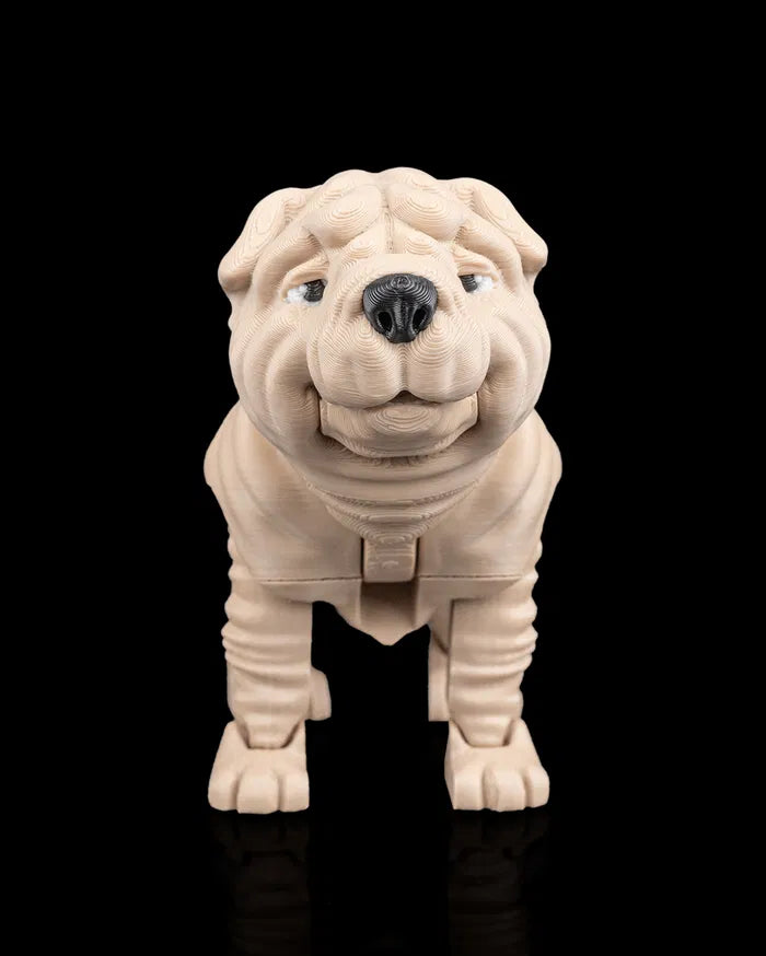 Louis_the_Shar_Pei_1_f12ceed88f