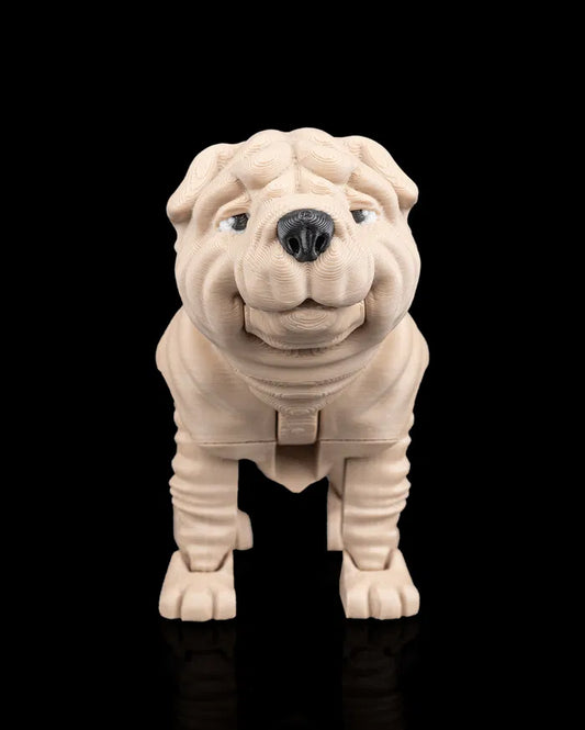 Louis_the_Shar_Pei_1_f12ceed88f