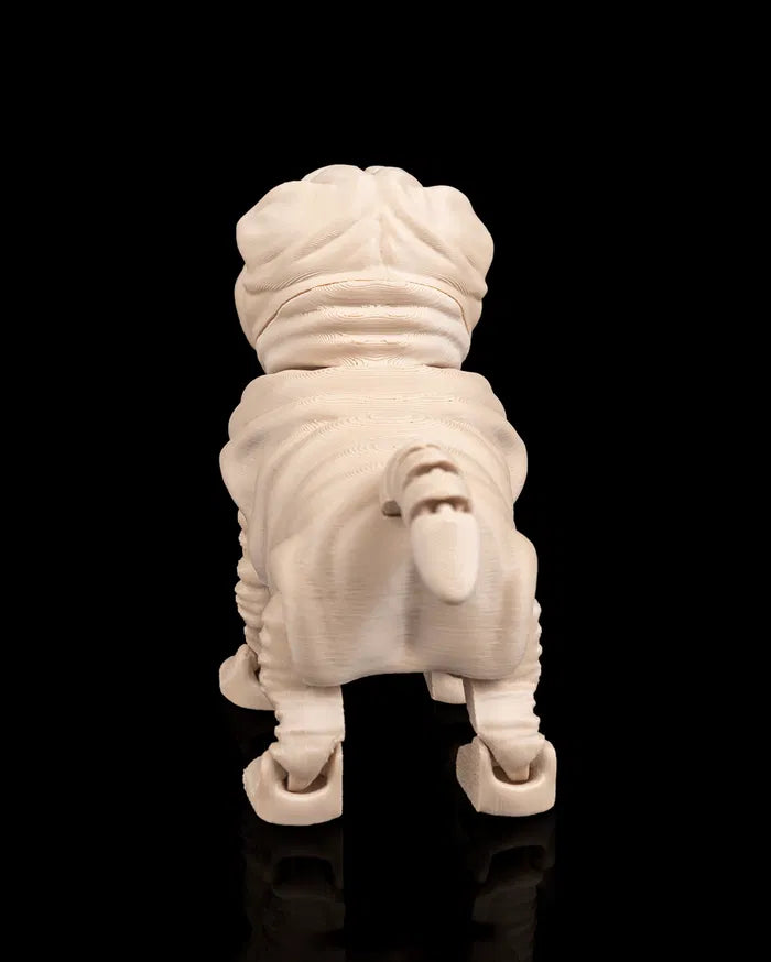 Louis_the_Shar_Pei_6_eecd9c8844