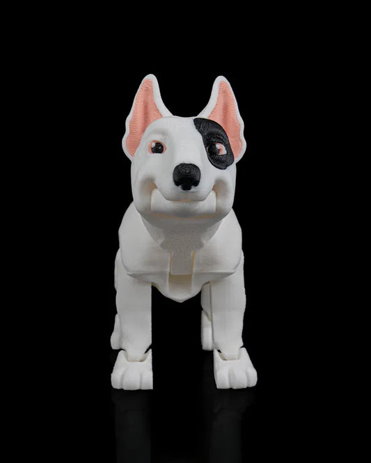 Rex_the_Bull_Terrier1_7c7ed19d0c
