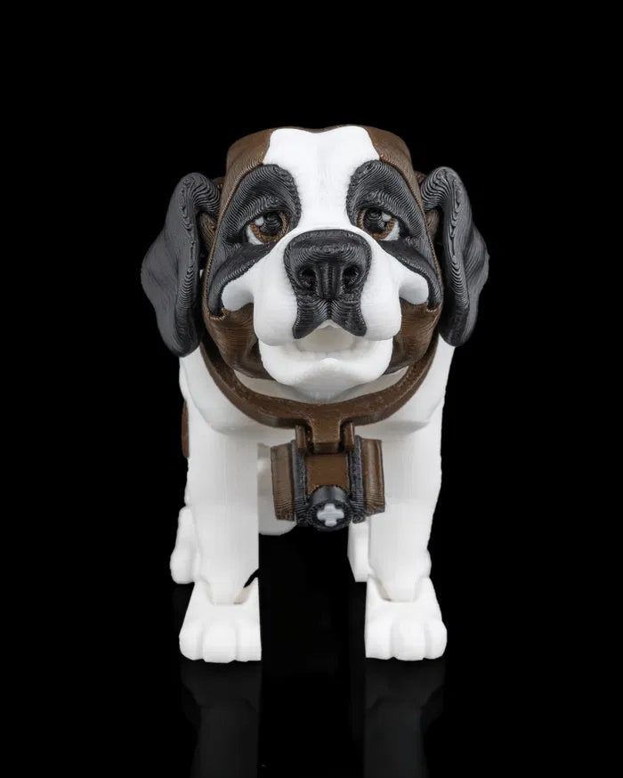 Barry_the_St_Bernard_1_11e224e3f8