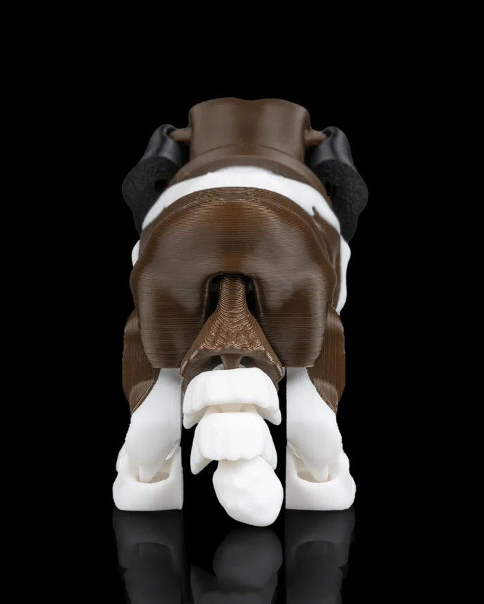 Barry_the_St_Bernard_6_10d8414710