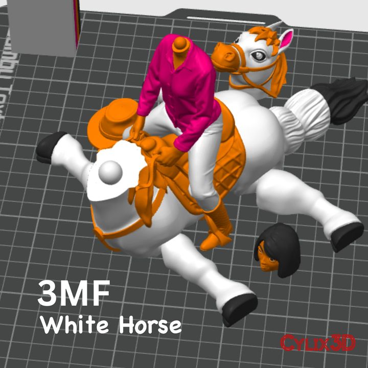 Flexi Cowgirl Horseback Riding