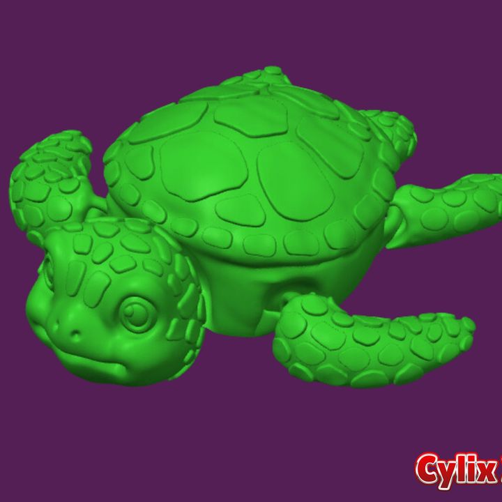 Articulated Turtle