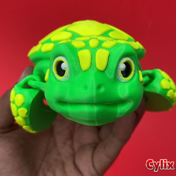 Articulated Turtle