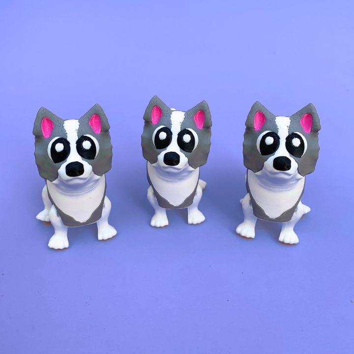 Flexi Border Coolie, Articulated Dog