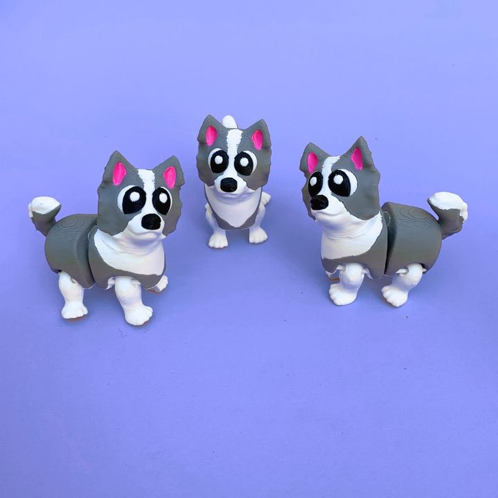 Flexi Border Coolie, Articulated Dog