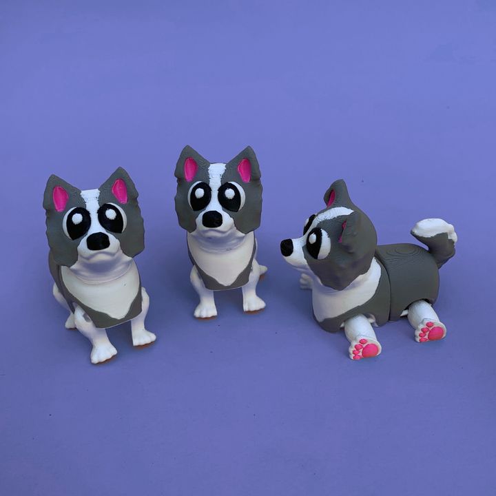 Flexi Border Coolie, Articulated Dog
