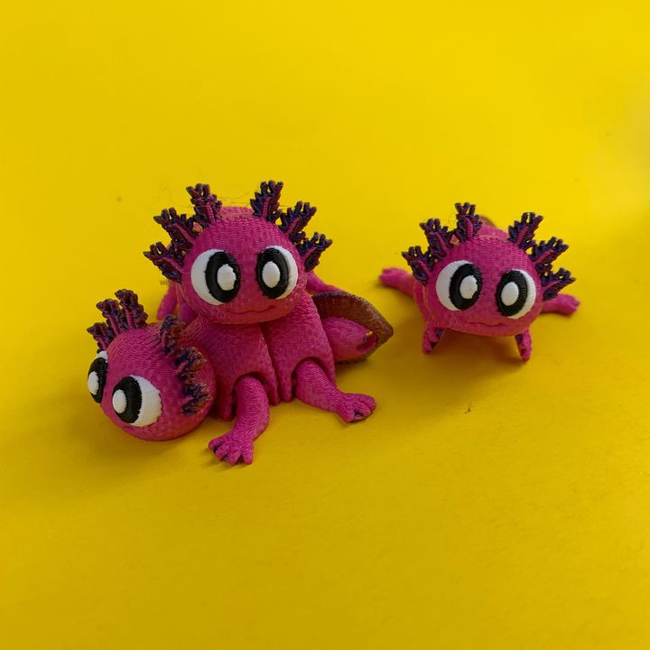 Flexi Axolotl And Egg Box