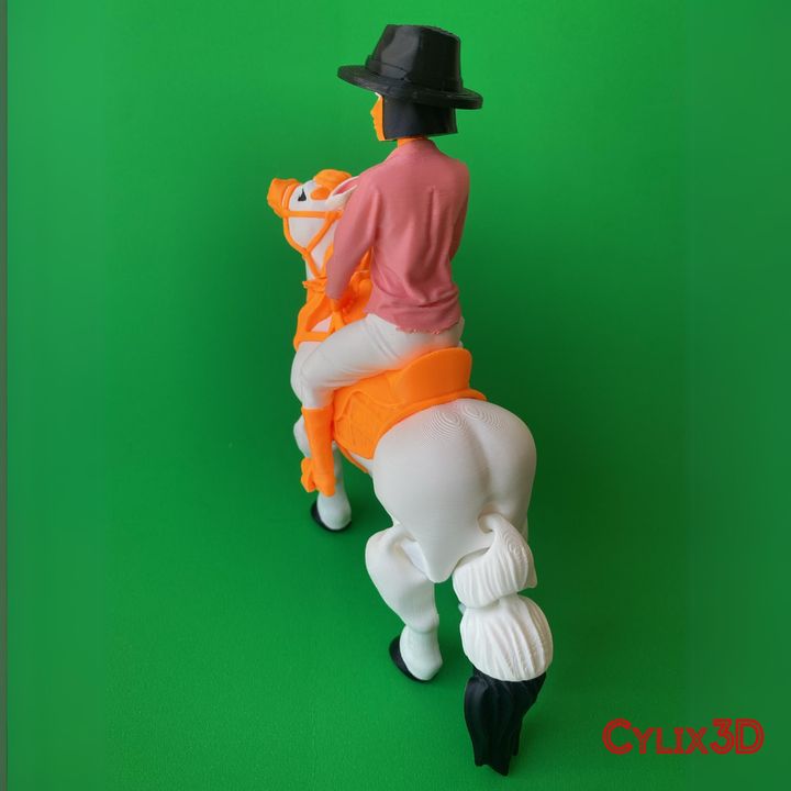 Flexi Cowgirl Horseback Riding