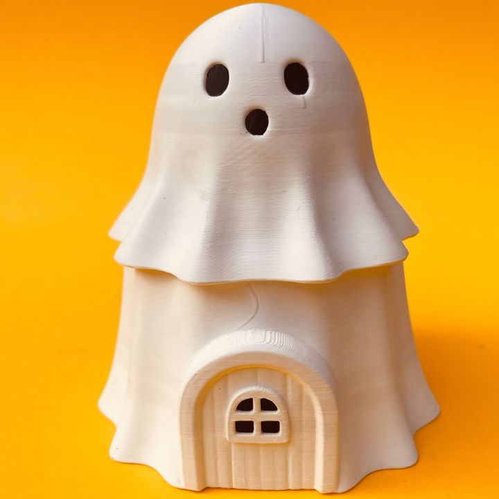 Flexi Ghost And House Box