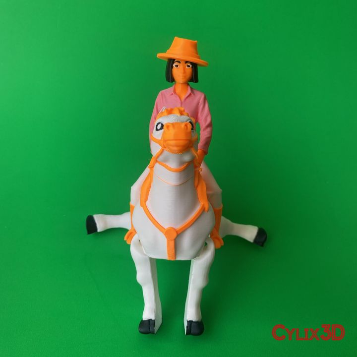 Flexi Cowgirl Horseback Riding