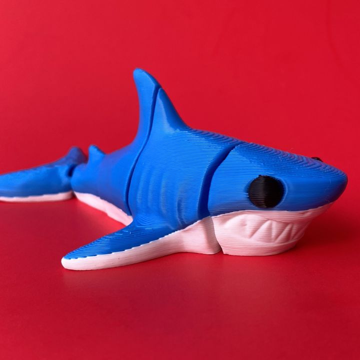 Flexi Shark