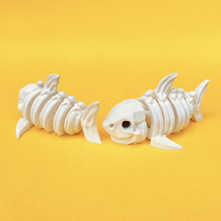 Articulated Flexi Skeleton Shark