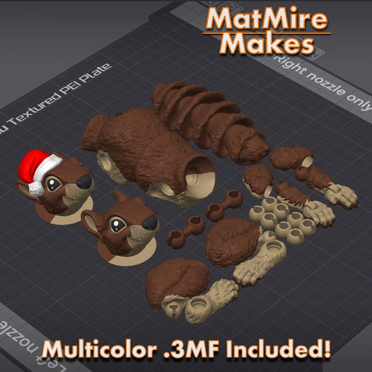 Squirrel, Santa Hat