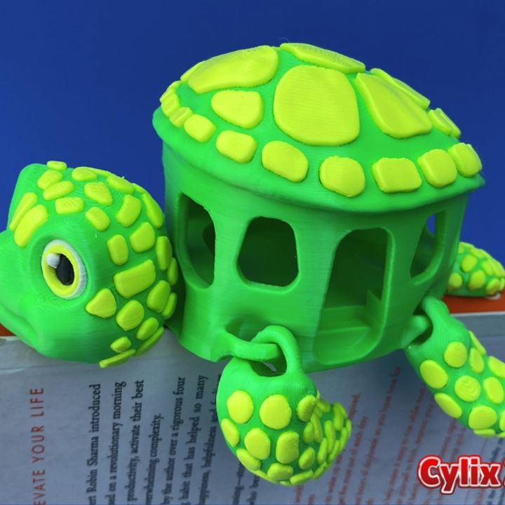 Flexi Turtle Bus