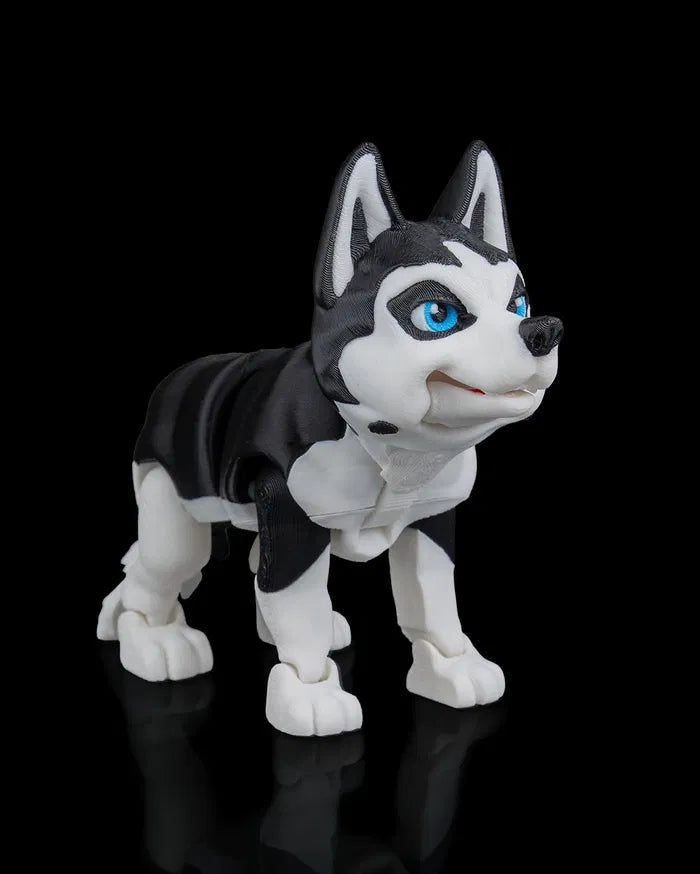 Maya_the_Husky6_2a122c7d7f