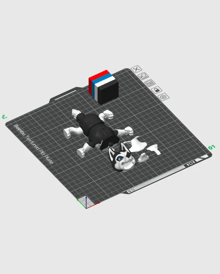 Maya_the_Husky_multicolor_168e0dff0e