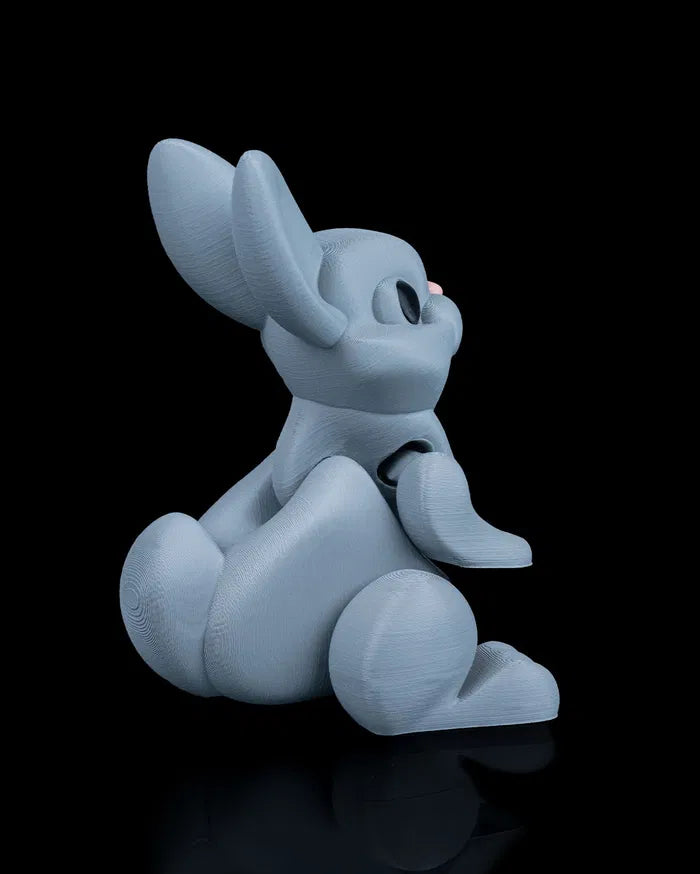 Jumpy_Bunny4_4940736834