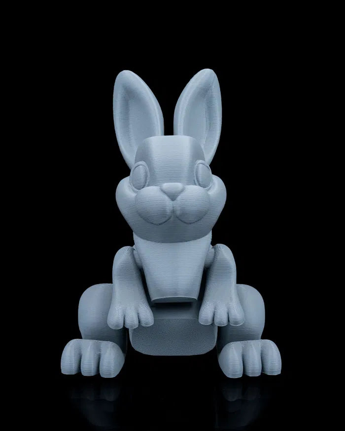 Jumpy_Bunny6_67b80afabb