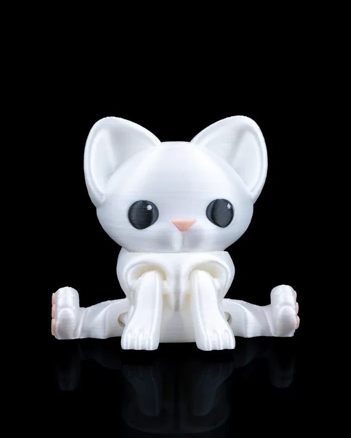 Curious_Cat_1_acb2ef8773