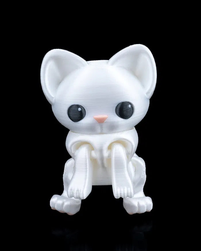 Curious_Cat_2_4641879b1d