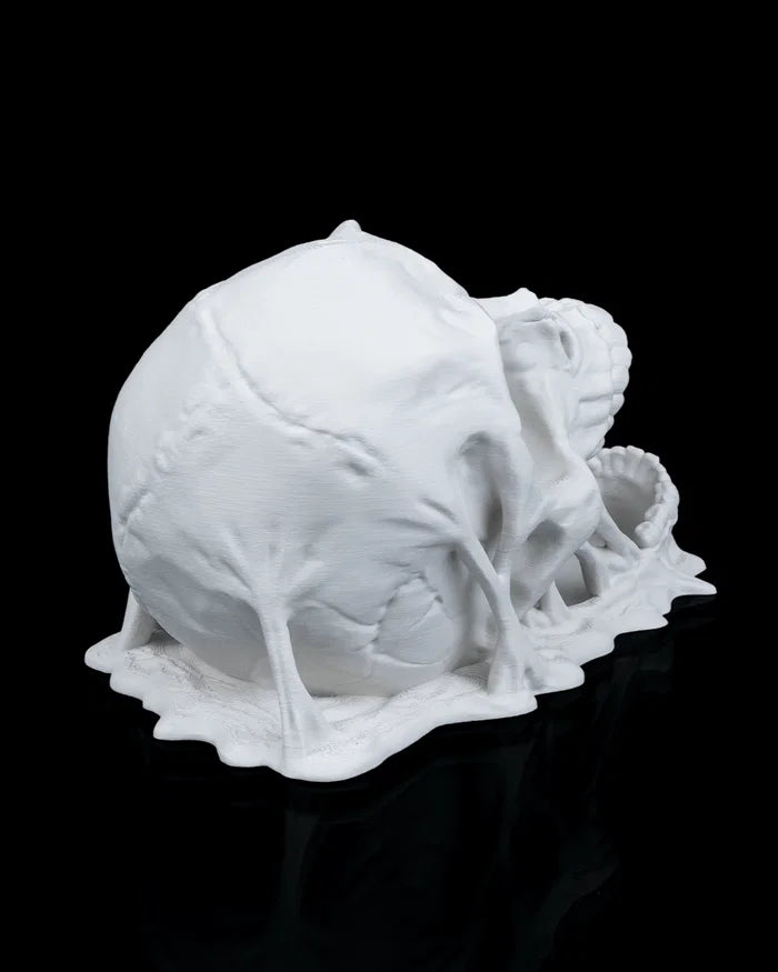 Doom Skull - Dice Tower