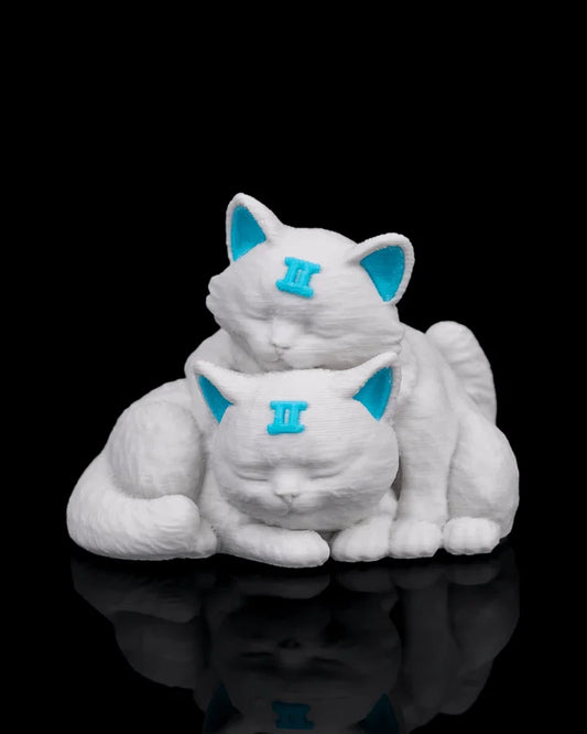 Gemini Charm