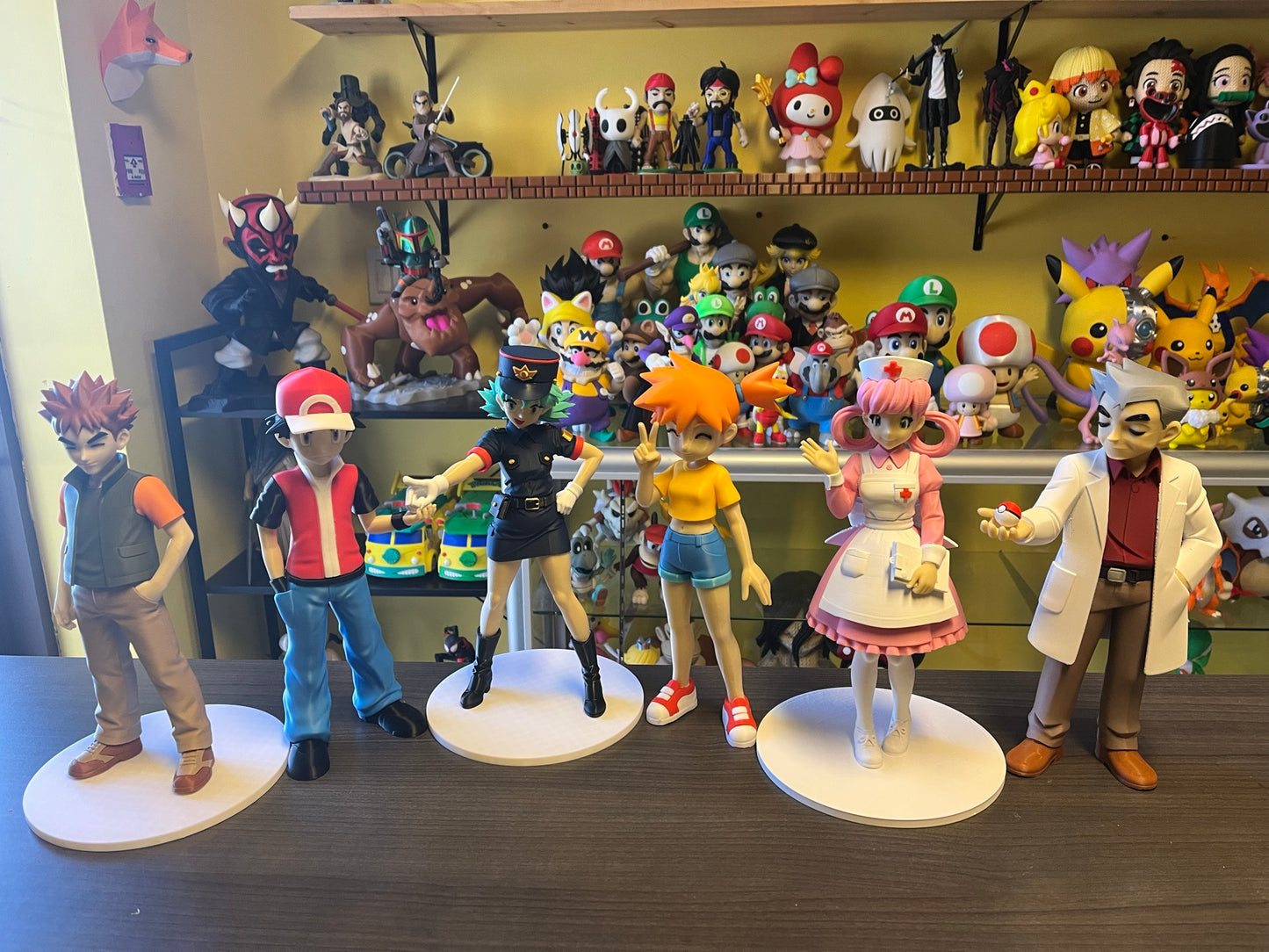 Pokemon Trainers & Team