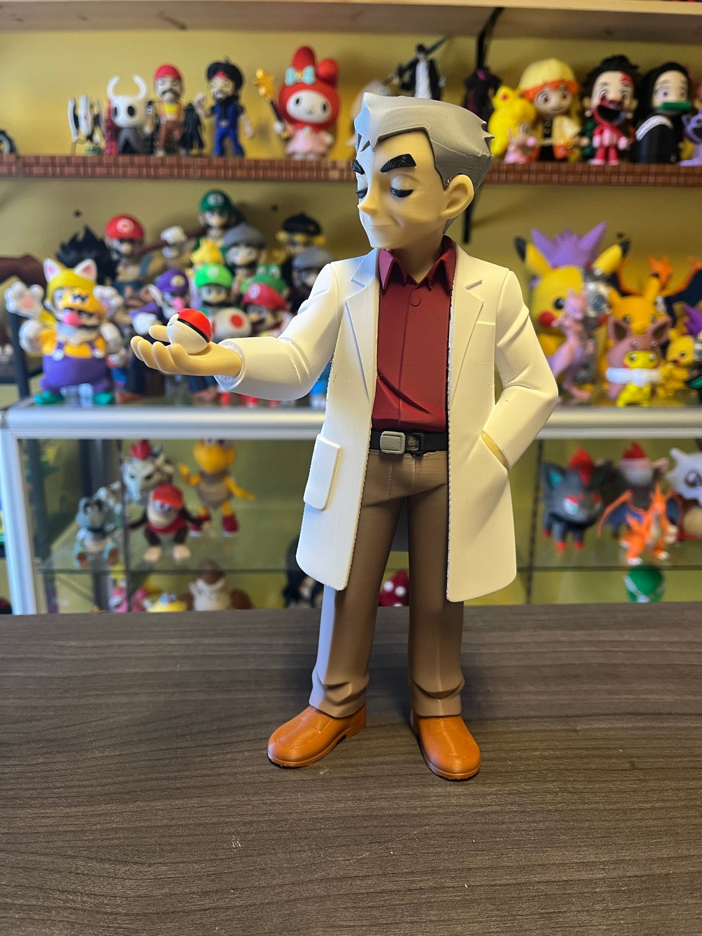 Pokemon Trainers & Team
